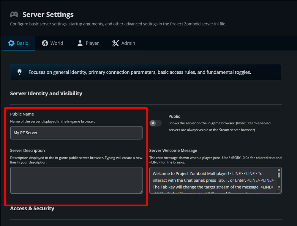 The Project Zomboid Server Settings page with the Public Name and Server Description fields highlighted under the Basic tab.