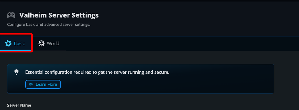 The Valheim Server Settings page with the Basic tab highlighted at the top of the settings menu.