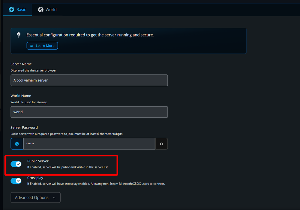 The Valheim Server Settings page showing the Public Server option enabled under the Basic settings tab.