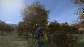 A DayZ survivor wearing a yellow jacket and a large blue hiking backpack walks through a field of tall grass toward a dense treeline under a bright blue sky.