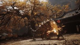 The Destined One from Black Myth: Wukong engaging in a fast-paced battle against a large white wolf boss (Lingxuzi) under a glowing yellow-leafed tree.