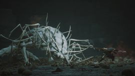 A cinematic gameplay shot from Black Myth: Wukong showing the protagonist fighting a large, white, multi-legged spider creature in a dark, atmospheric environment.