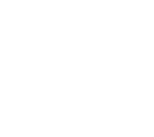 Jagex: The Runescape Company
