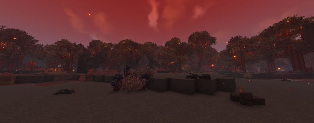 Charred Woodlands biome in Hytale showing burned trees, ash-covered ground, and fire-scorched forest terrain.