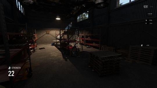 Warehouse that is mostly dark with one overhead light showing shelves and ladders in a brick room. In game overlay shows Strength of 22 , player is chilly and cool, and has +350 beside an icon of a hand holding a box.