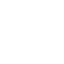 VEIN