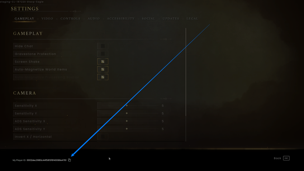 A screenshot of the Settings menu in RuneScape: Dragonwilds. The 