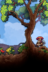 Kyora Server Hosting