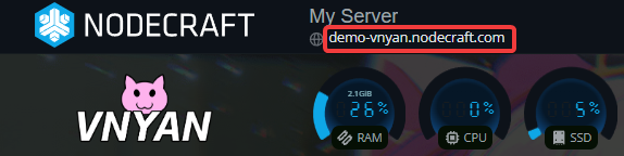 A screenshot of a VNyan Nodecraft server with the server hostname highlighted.