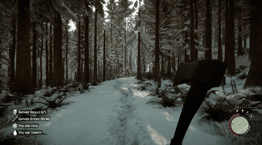 Exploring the winter woods.