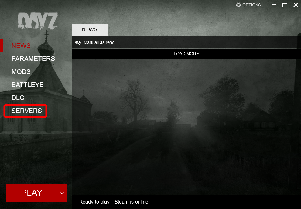 DayZ launcher main menu with the Servers option highlighted in the left-hand navigation panel.